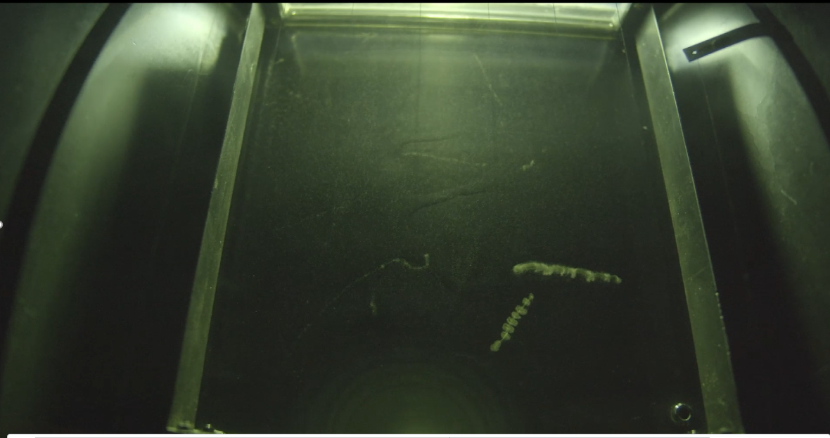 image-20201125224730413