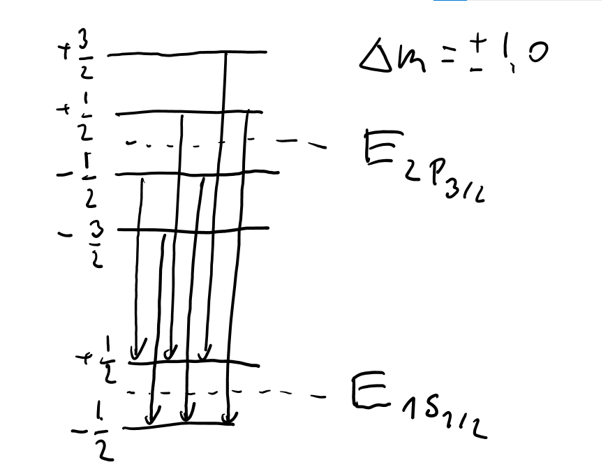 image-20210201002155477