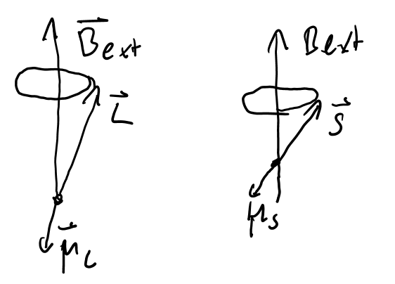image-20210201002214564