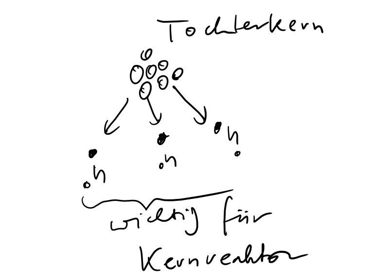 image-20210218105732146